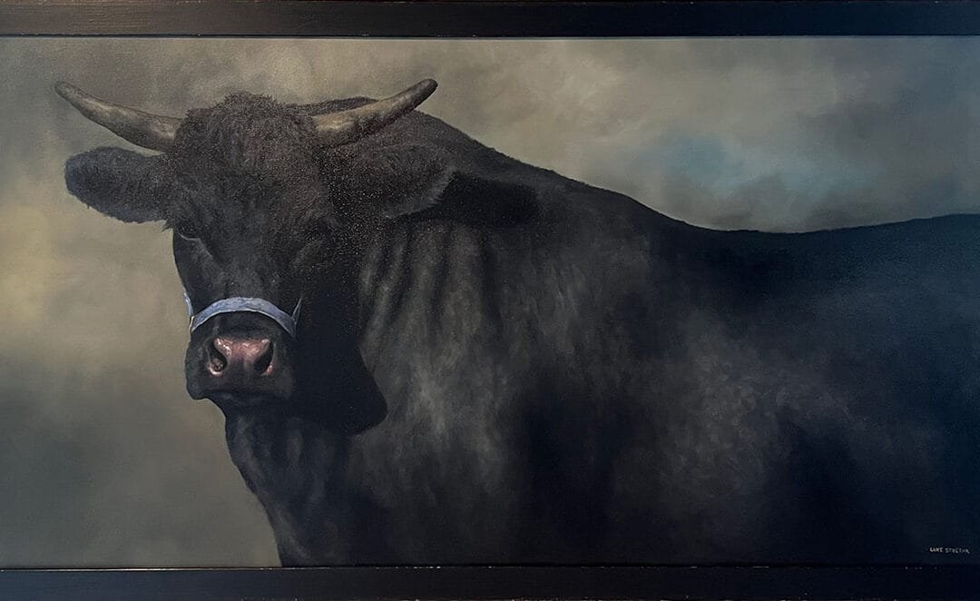 Black Bull
