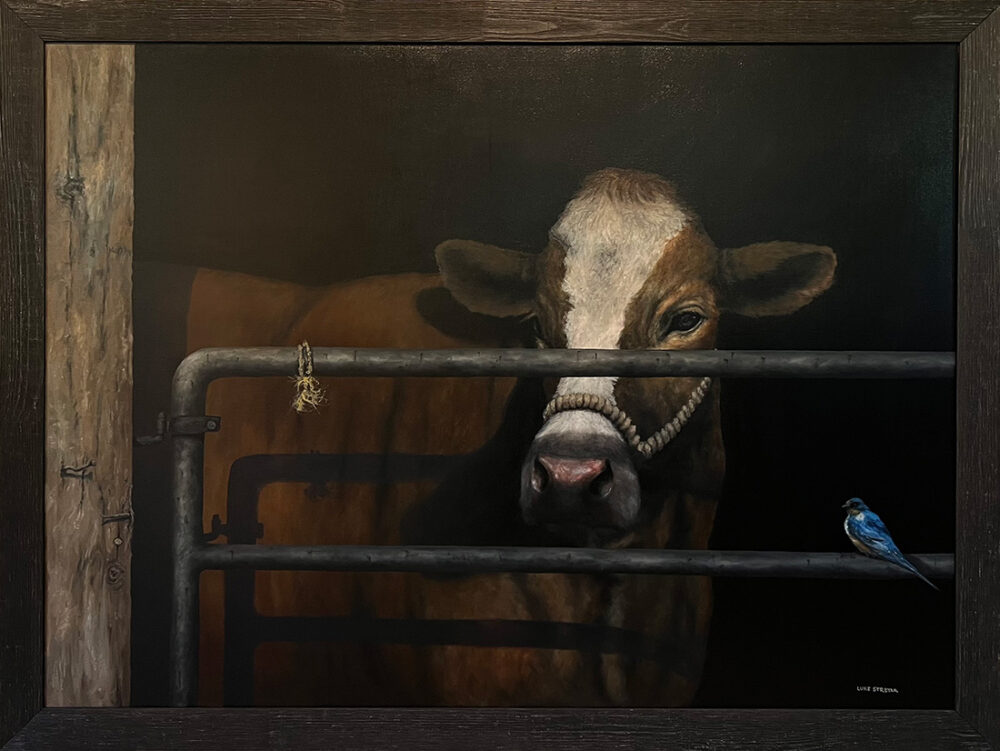 Cow and Rail