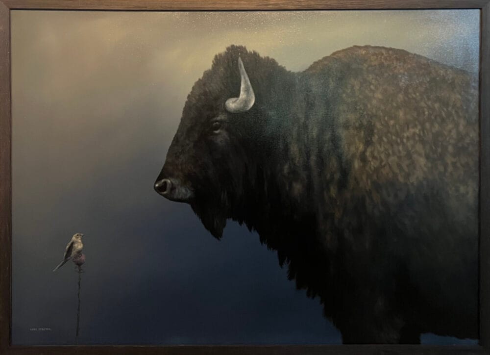 Bison