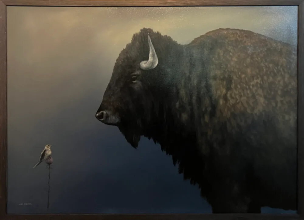 Bison