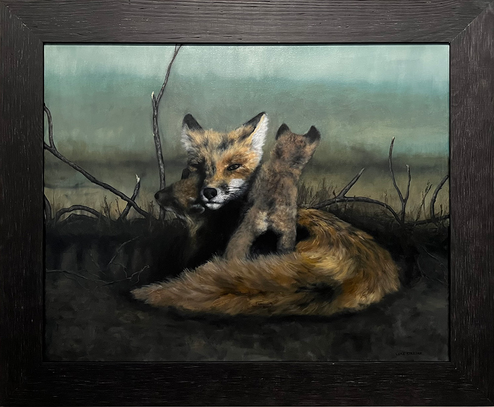 Fox Family