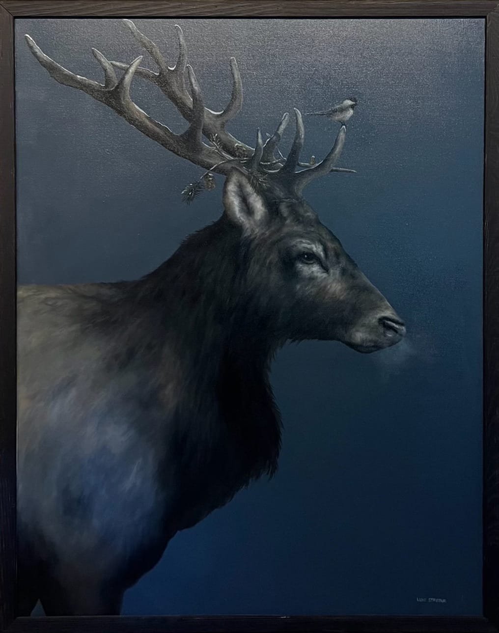 Elk Study