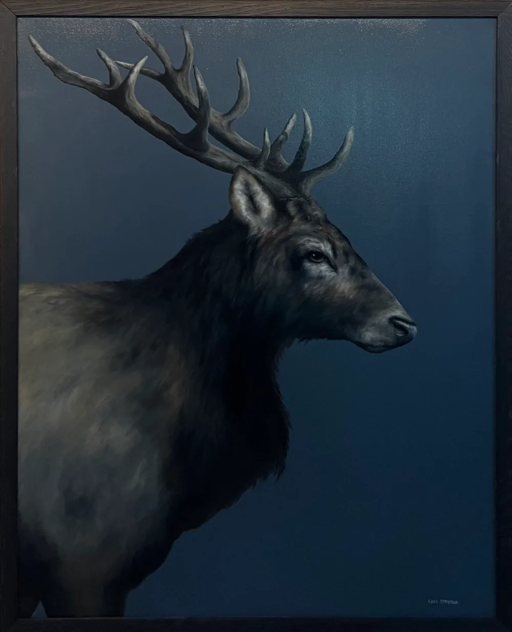Elk Study
