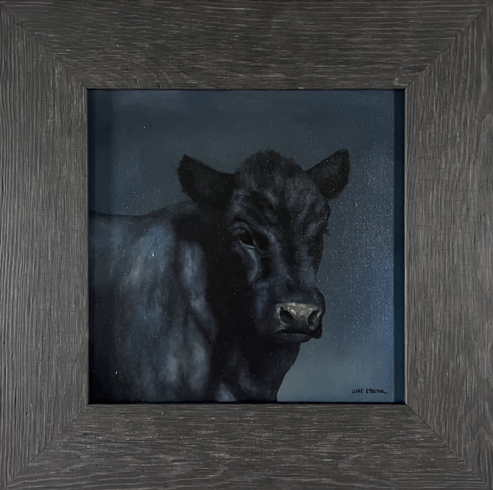 Black Angus II