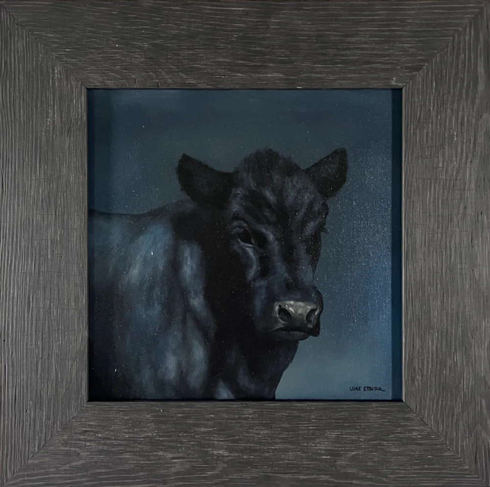 Black Angus II