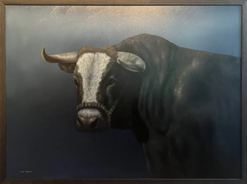 Bull