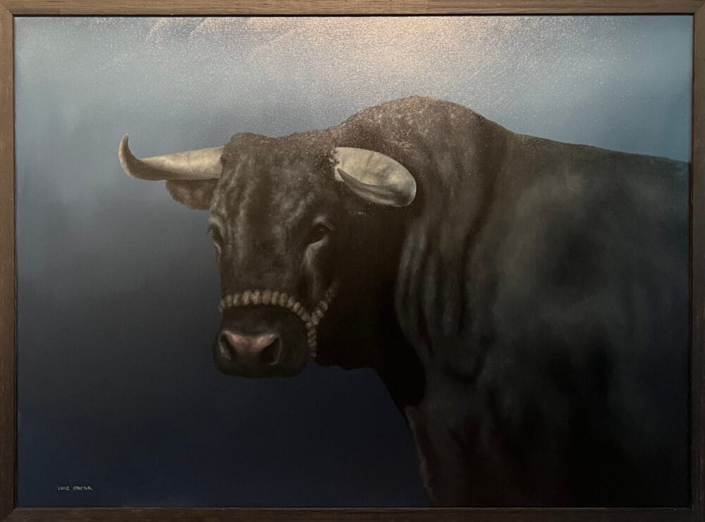 Bull