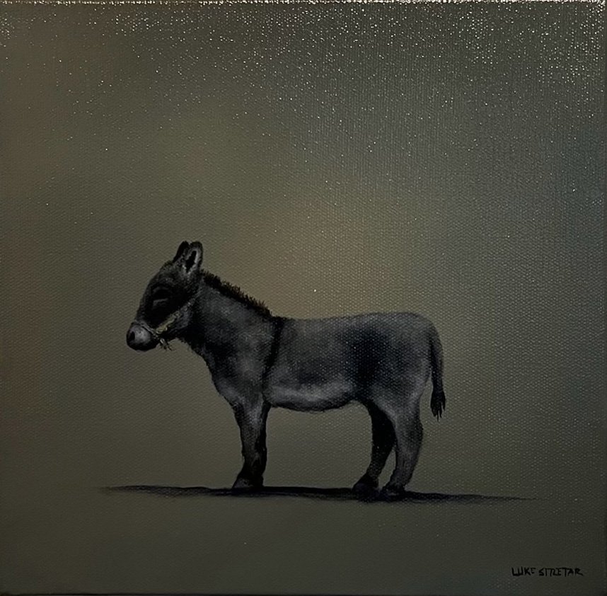 Donkey